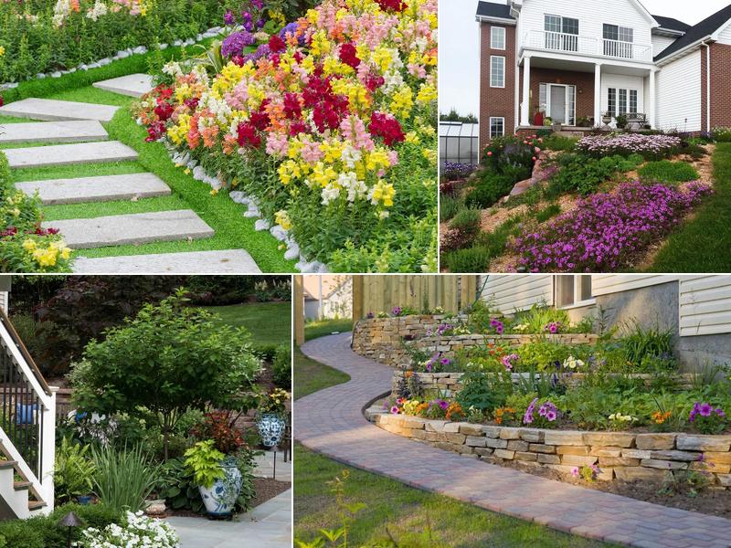 Distinctive Lawn and Landscape, Inc