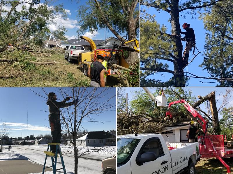 Stevenson Tree & Lawn Care