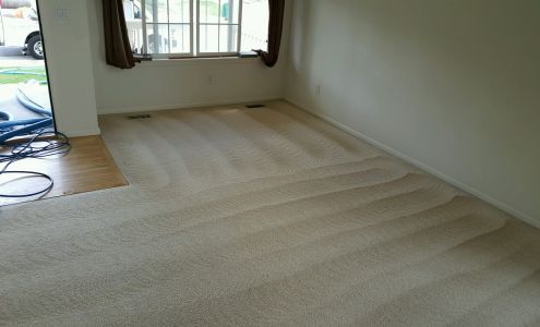 Leaf Carpet Cleaning Services