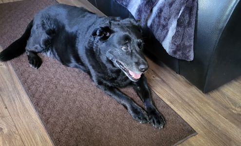 Mike's Affordable Services