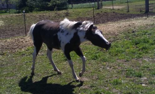 Fuller Construction 12220 Portage Rd, Vicksburg Michigan 49097