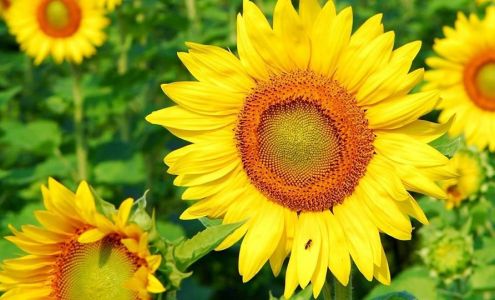 Rainbow Clean & Shine Services.