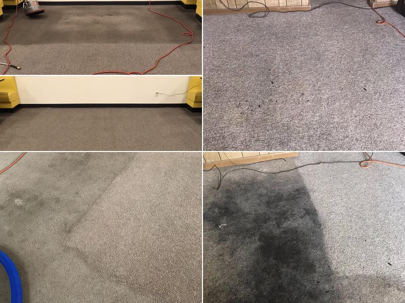 Tod’s Carpet & Furniture Cleaning