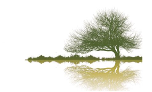 Green and Gold Construction 9262 Mohican Trail, Evart Michigan 49631