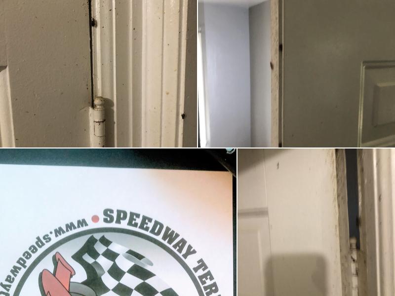 Speedway Termite & Pest Control