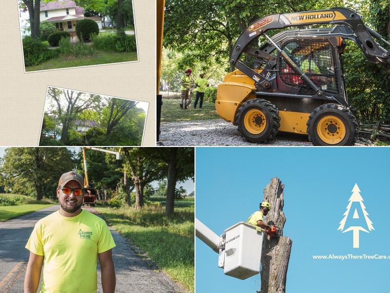 Always There Tree Care LLC