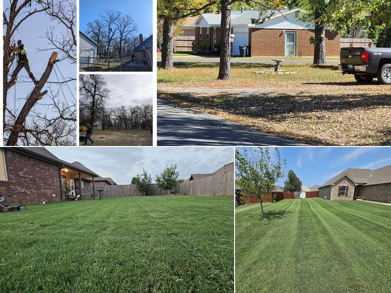 Thomas Lawn and landscape