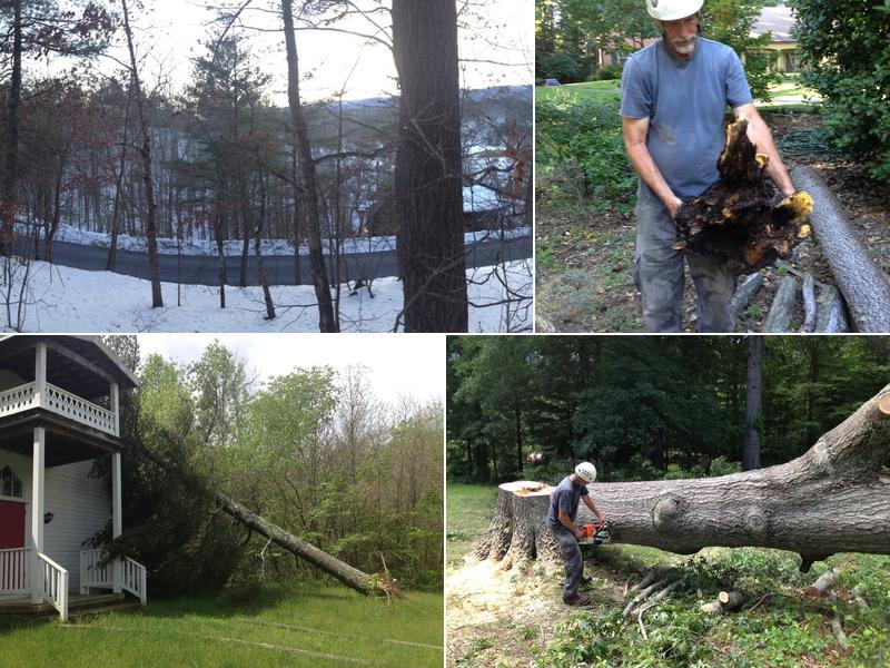 Satisfaction Tree Service