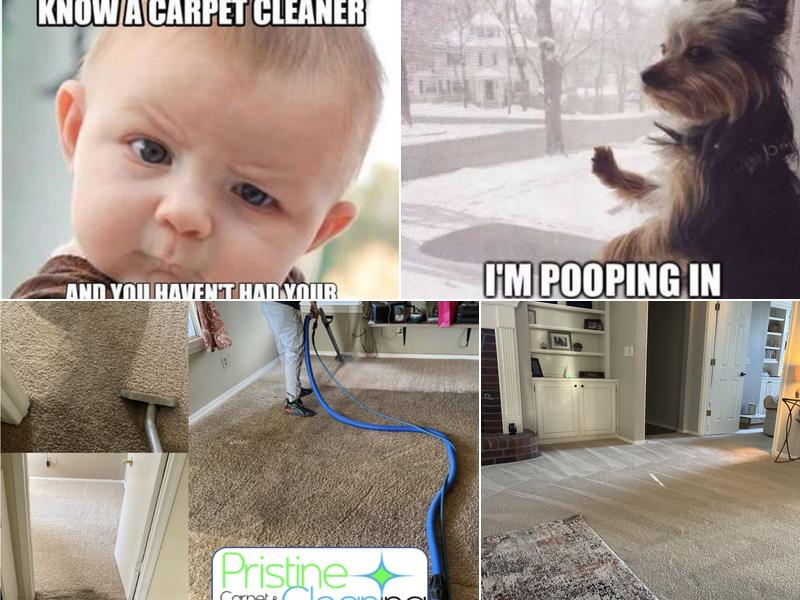 Pristine Carpet & Tile Cleaning