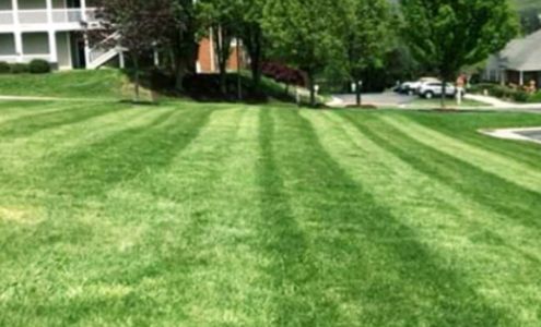 Forever Green Lawn Care LLC