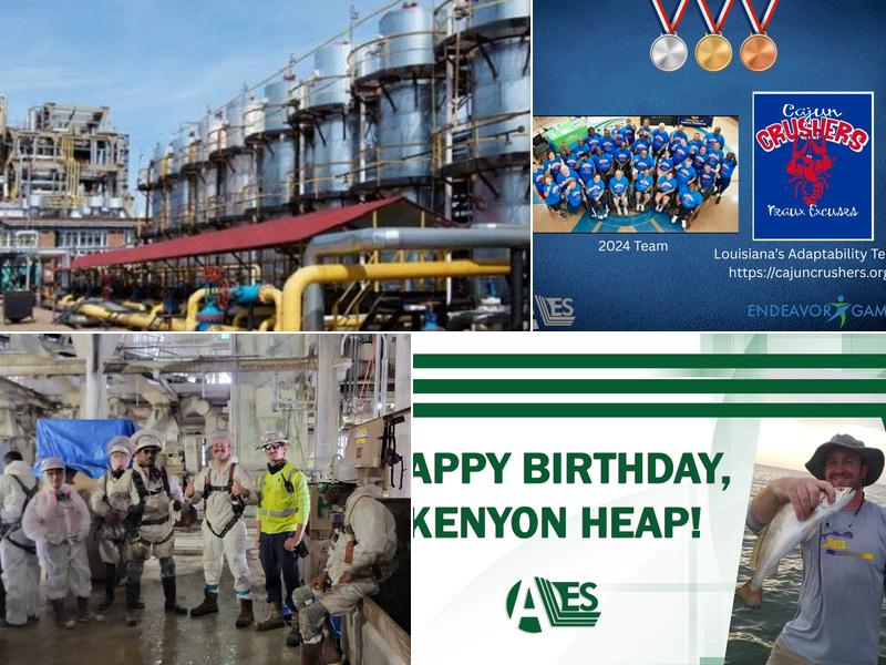 Air Environmental Services