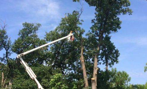 Dinges Tree Service 884 W Main St, Stanley Virginia 22851