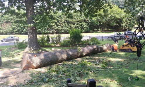 Shifflett John Tree Service 7368 Porch Swing Ln, Dayton Virginia 22821