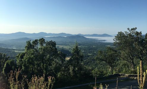 Top Tree Service Harrisonburg