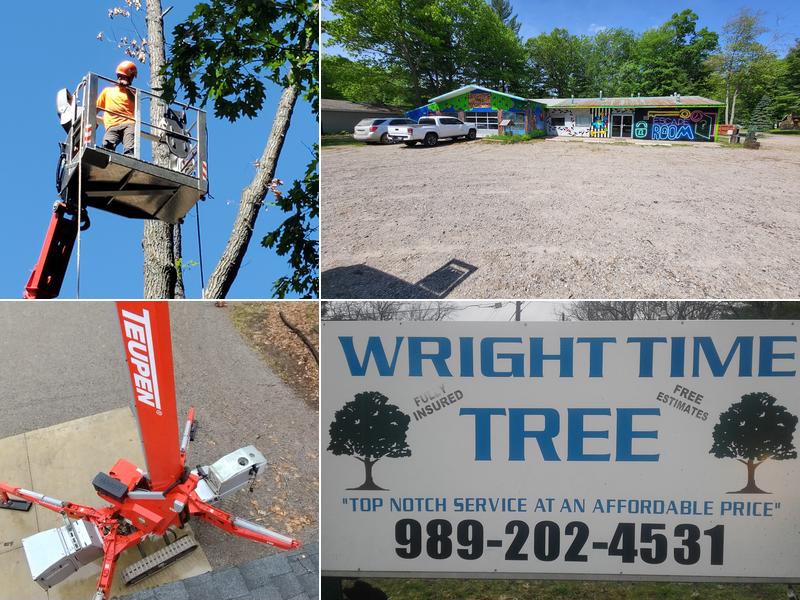 Wright Time Tree