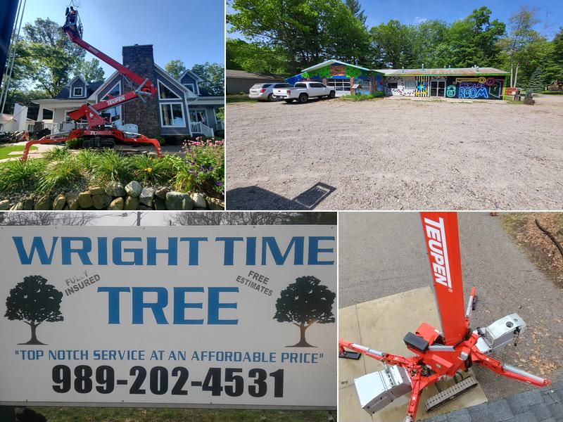 Wright Time Tree