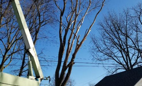 J.C. Tree Service LLC 6490 W Lotan Rd, Lake City Michigan 49651