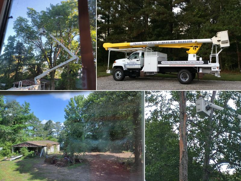 Belcher Tree Service