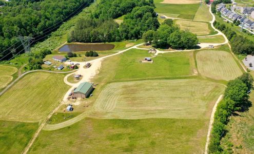 Danielle Wilson, Realtor