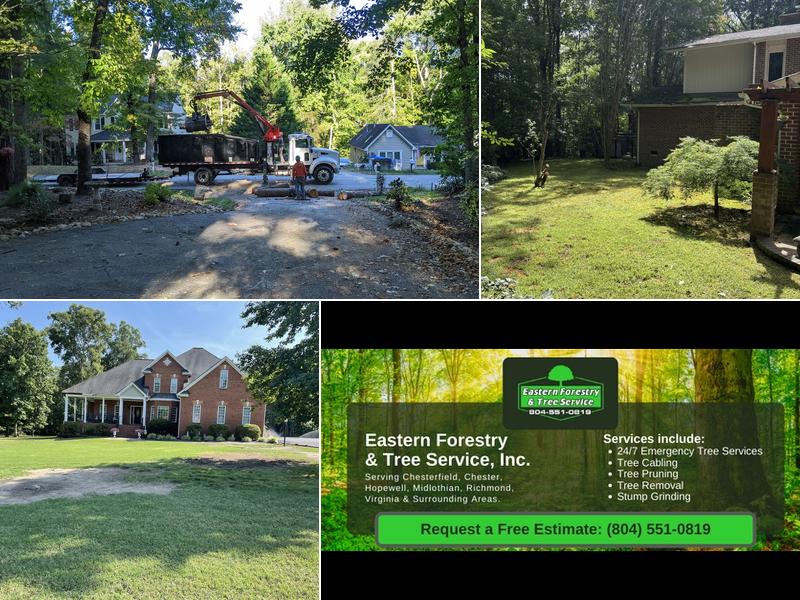 Eastern Forestry & Tree Service, Inc.