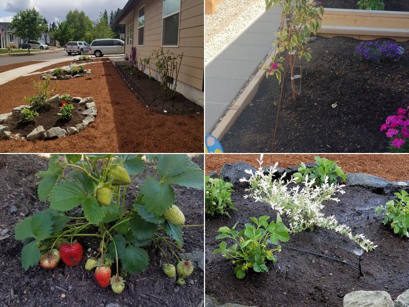 Eugene Landscape & Irrigation