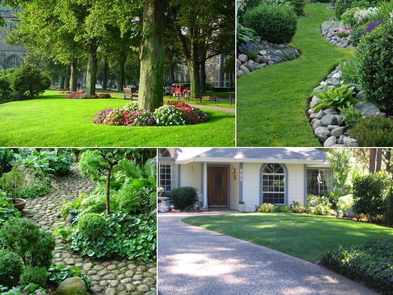 Advanced Landscape Maintenance