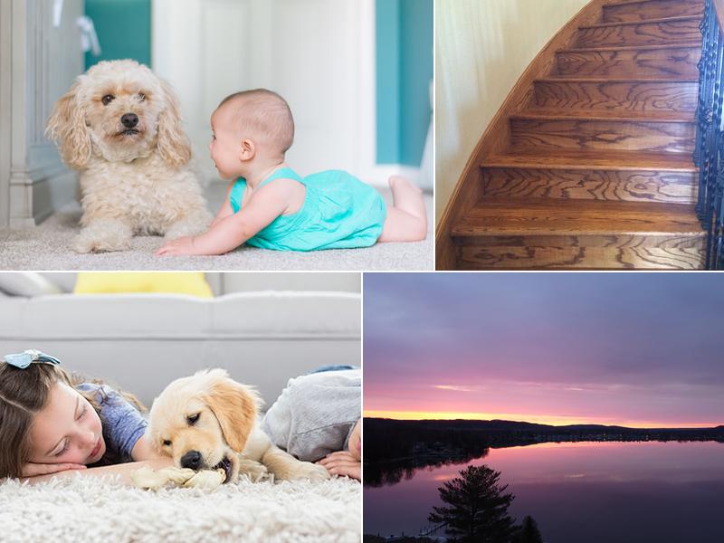 Up North Carpet Cleaning