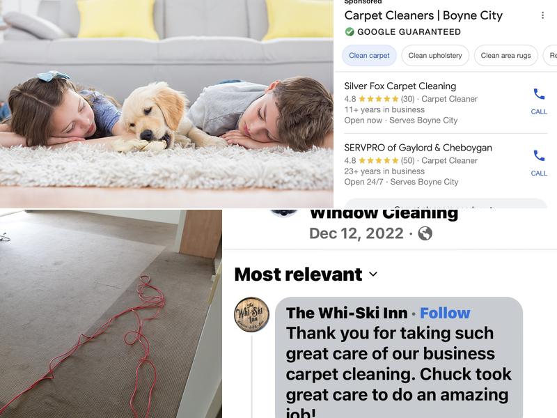 Silver Fox Carpet Cleaning