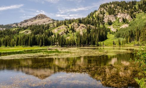 Welch Randall Real Estate