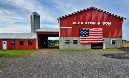 Alex Lyon & Son Bridgeport