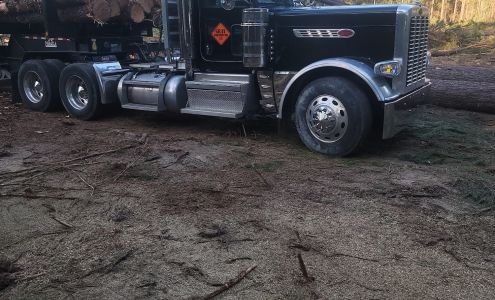 Gray Contracting LLC 151 County Rd S-18-182, Ridgeville South Carolina 29472