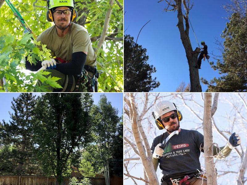 Prins Pruning & Tree Care