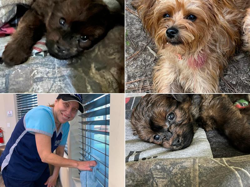 Partners In Grime Cleaning Company