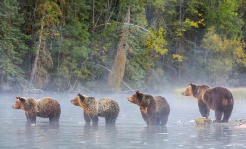 Bear Street Financial Group