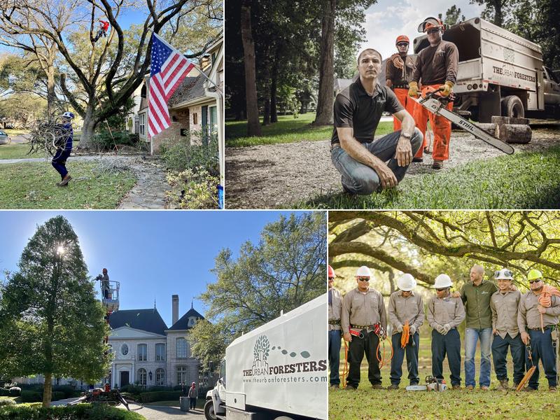 The Urban Foresters - North Side