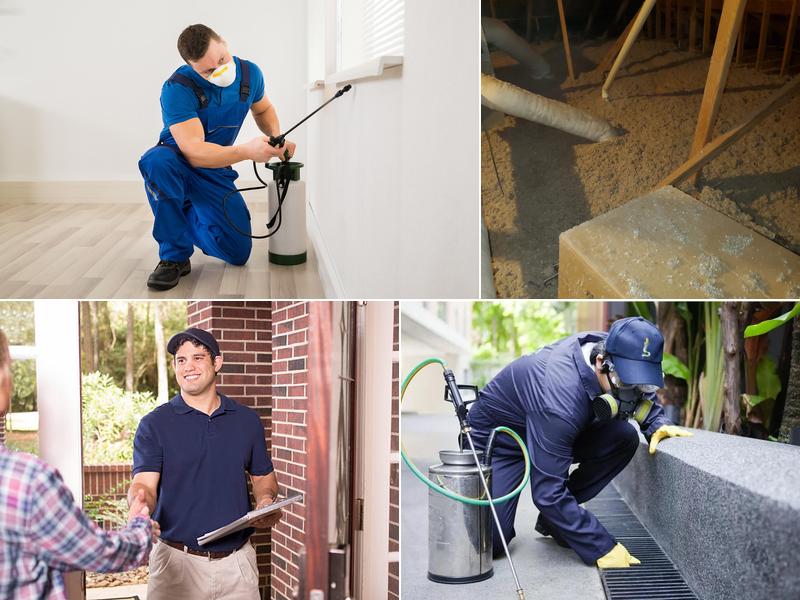 Infestaway Pest Control