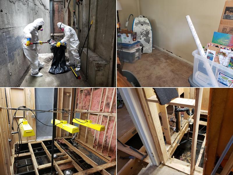 Las Vegas Mold Removal Testing Inspection