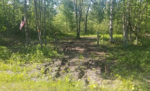 Griz's Sealing-Excavating 6855 Ojibway Dr, Mesick Michigan 49668