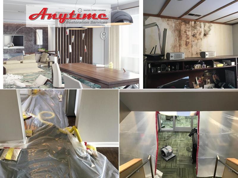 Anytime Restoration Services