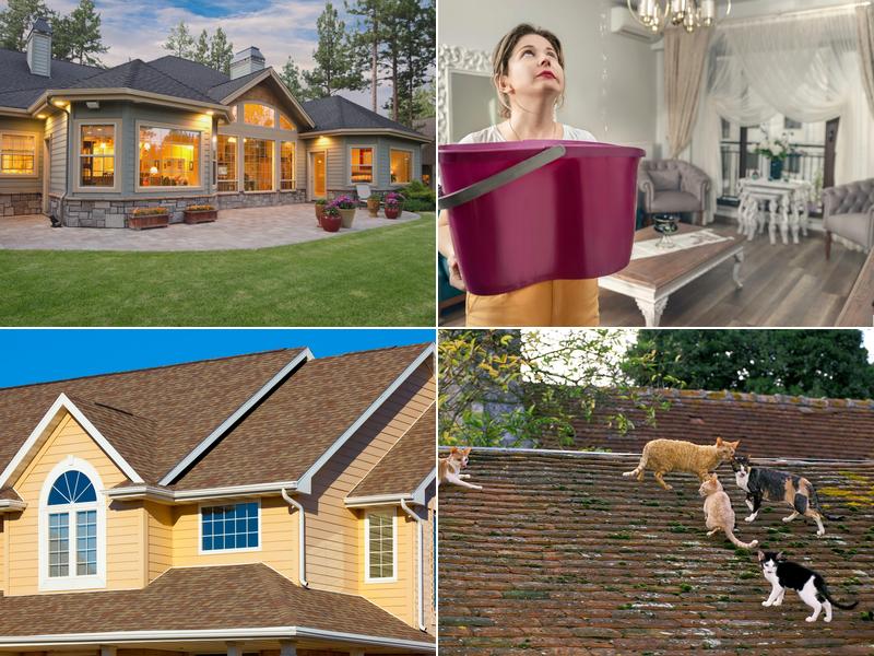 Mint Roof and Exterior