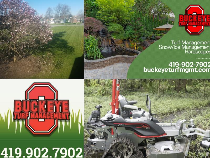 Buckeye Turf Management
