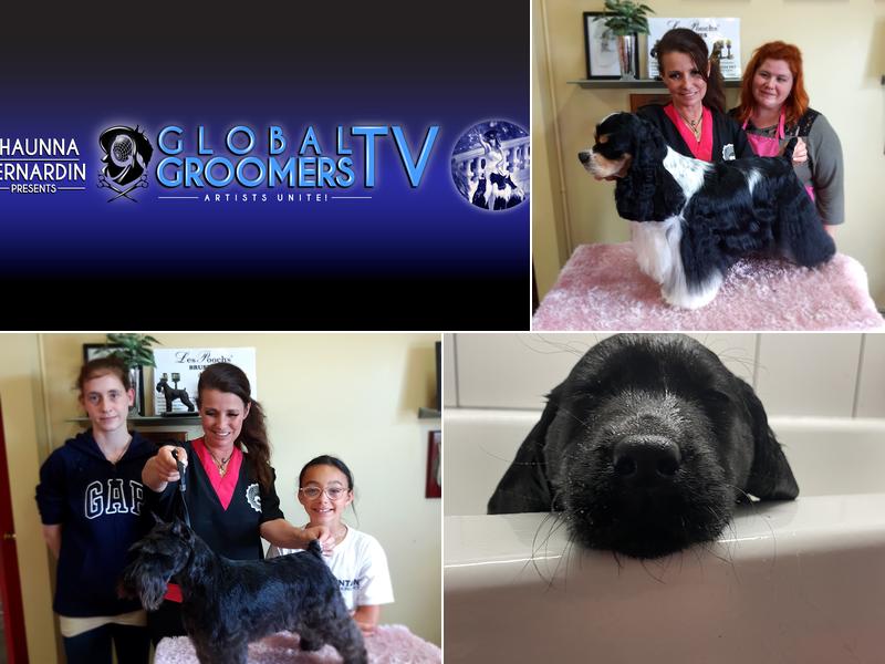 Wags to Whiskers and Global Groomers TV