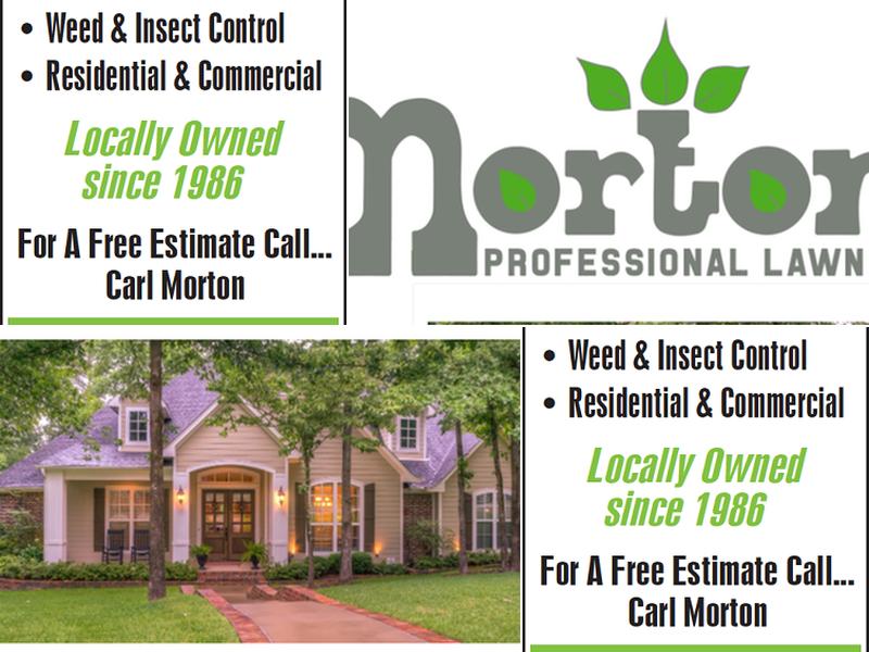 Morton Professional Lawn Care