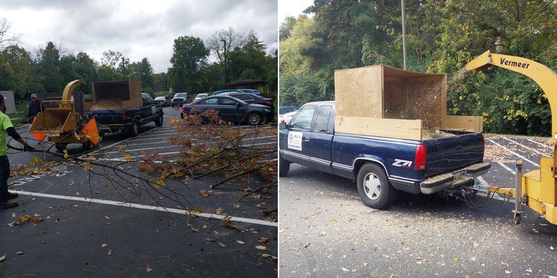 B&A Tree Services and Stump Removal