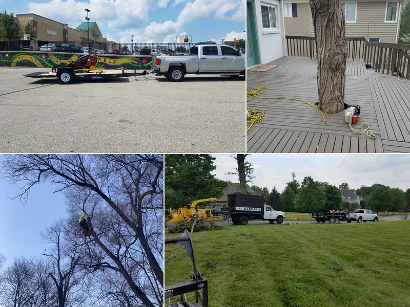 Pac Attack tree service