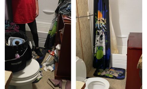 Built From A SEED Cleaning Services