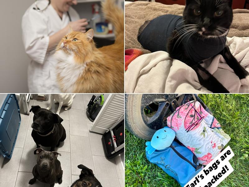 Manning Veterinary Clinic