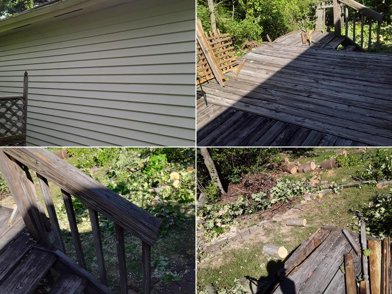 Kunkel & Sons Tree Removal