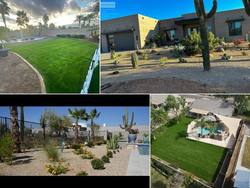 Phoenix Pro Landscaping & Lawn Care Services