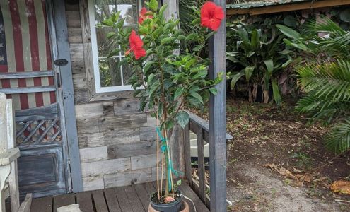 The Farm/Big League Garden Center